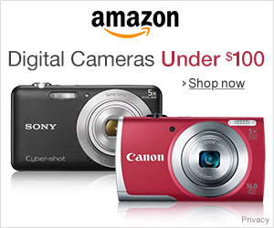 Digital Cameras Under $100